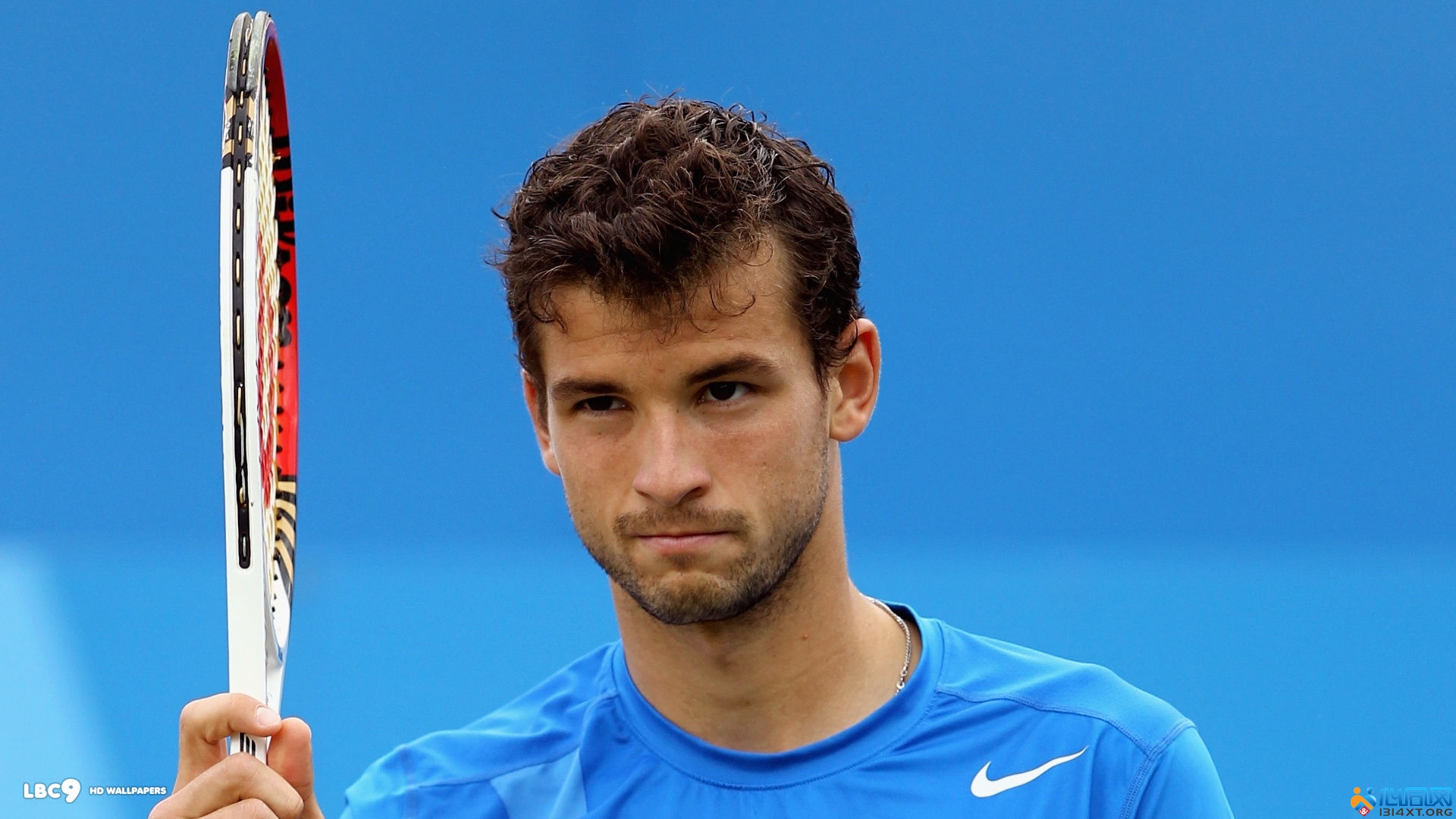 教练所言 教练所言